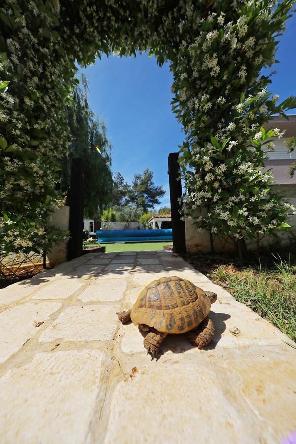 Apartments Mirakul Zadar Exterior photo